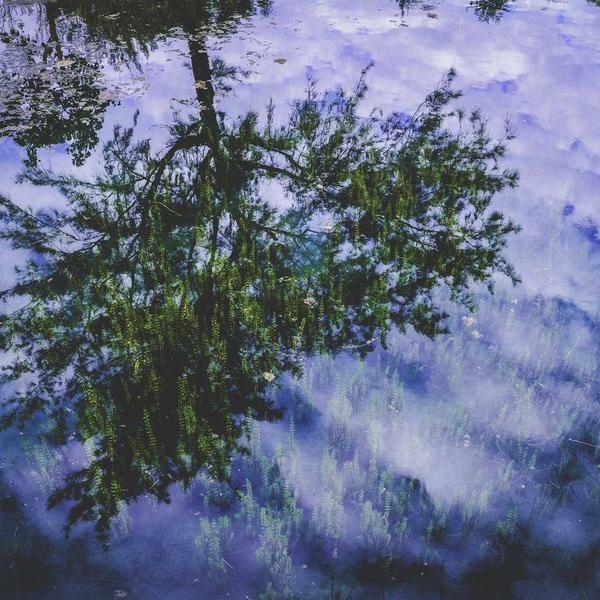 Apple Watch Series 9 41mm Midnight